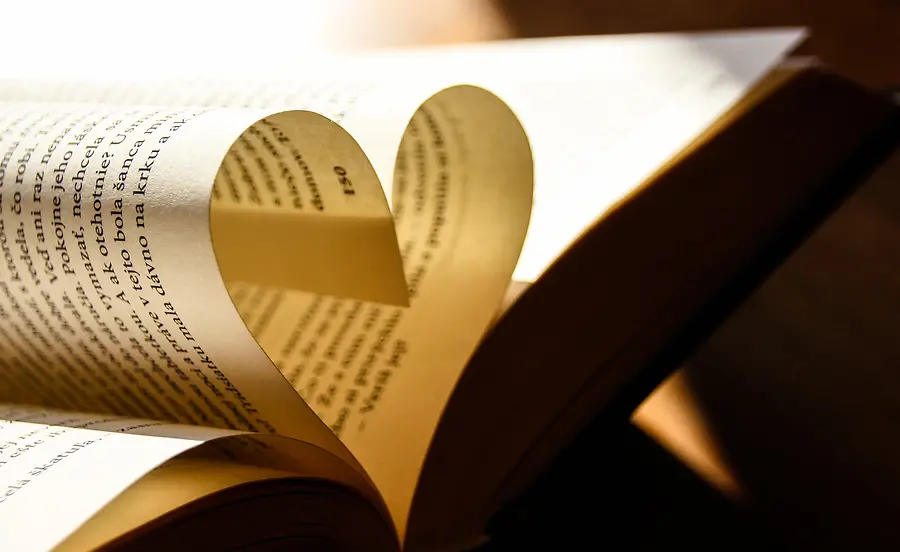 📖 The Story of the Book